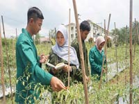 Non Regular Program Badung Nomor 10